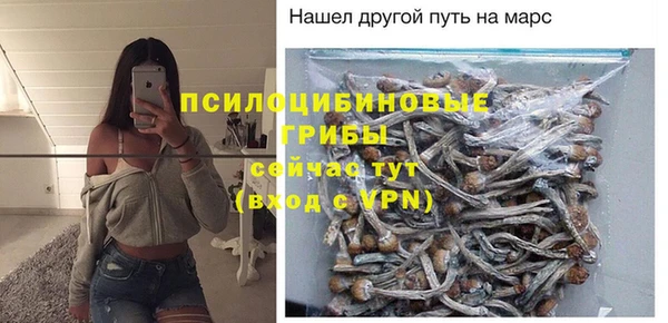 не бодяженный Алзамай