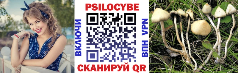 Псилоцибиновые грибы ЛСД  что такое   маркетплейс формула  Питкяранта 